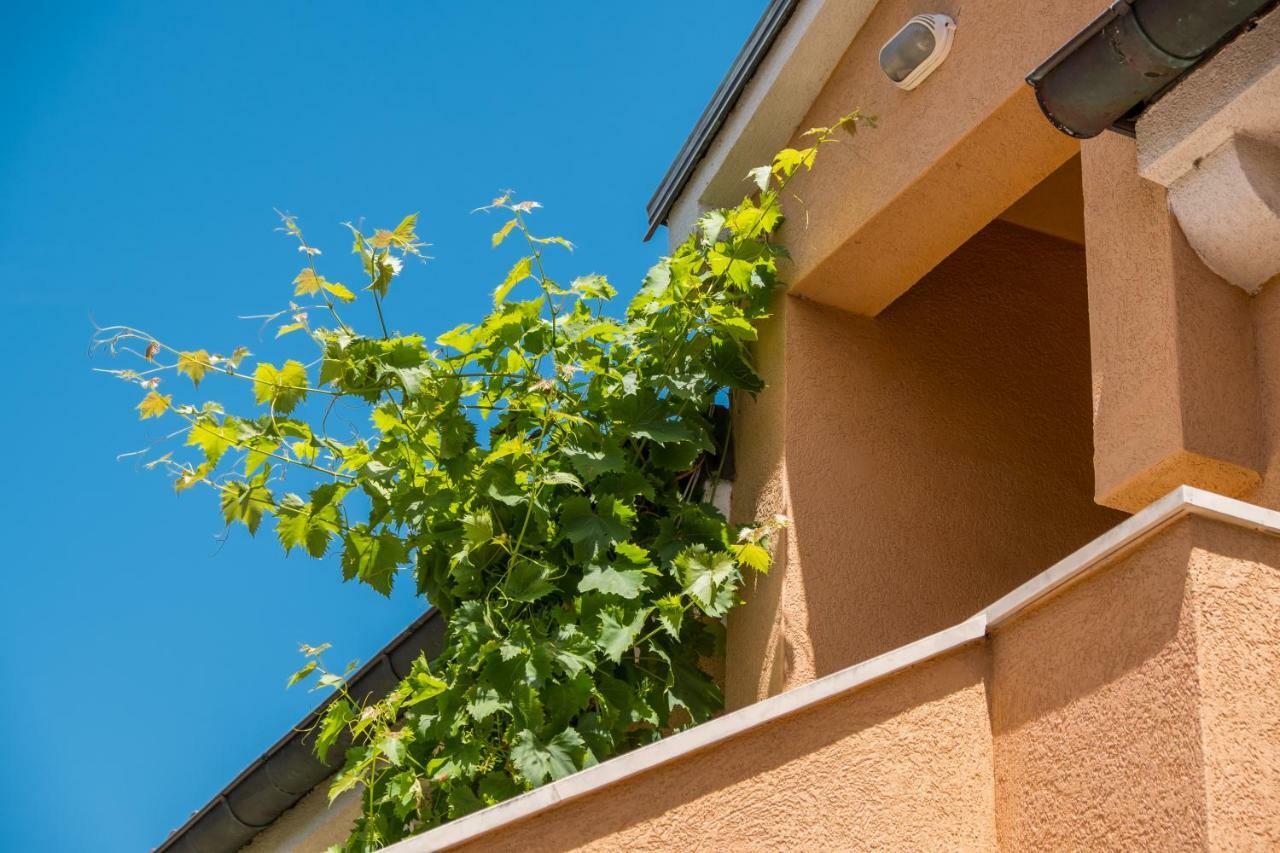 Apartman Anamarija Mali Lošinj Buitenkant foto
